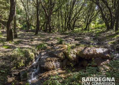 Santadi – Foresta di Pantaleo